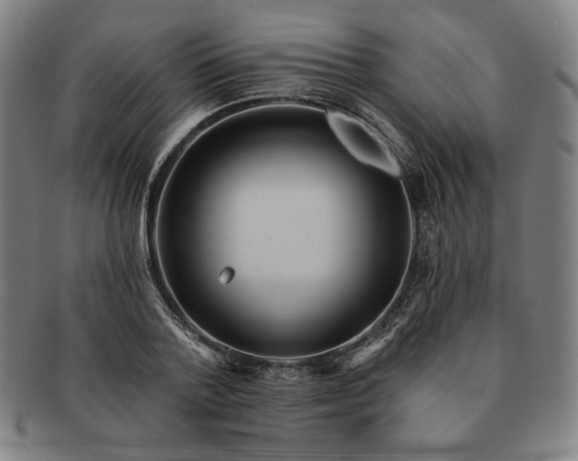 X0000091460788200708231315