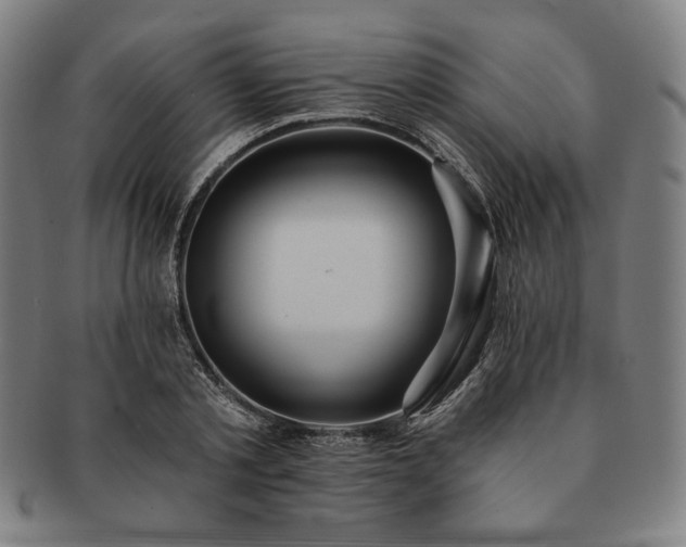 X0000091460789200708231315