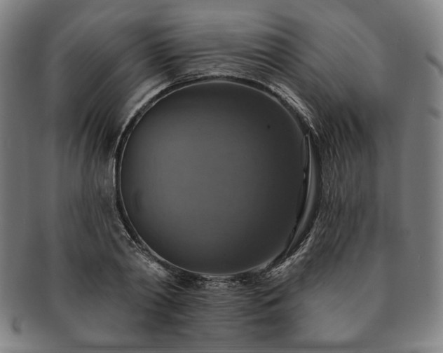 X0000091460790200708231315