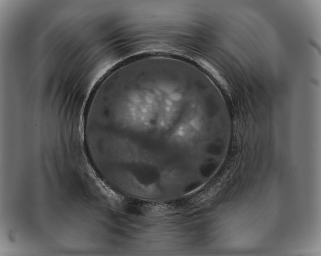 X0000091460791200708231315