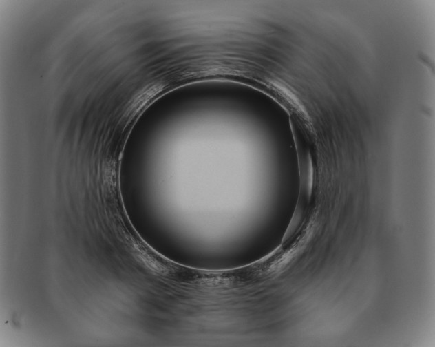X0000091460793200708231315