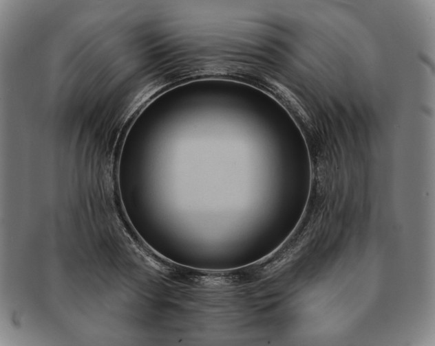 X0000091460794200708231315