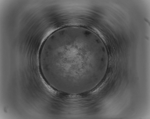 X0000091460795200708231315