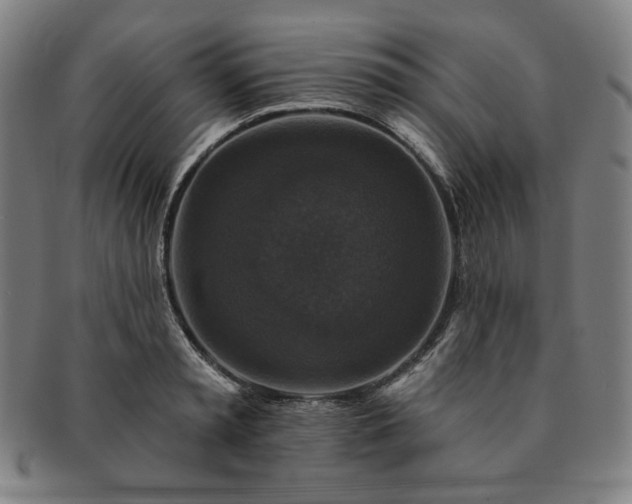 X0000091460797200708231315
