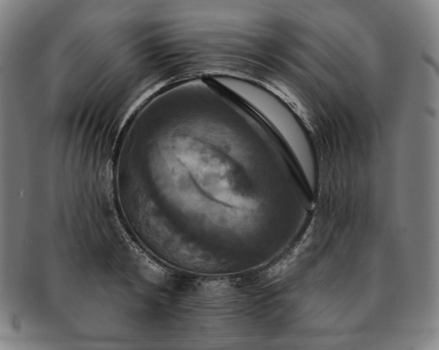 X0000091460798200708231315