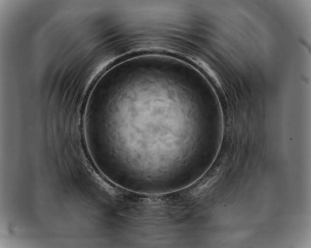 X0000091460799200708231315