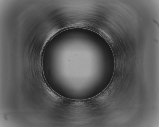 X0000091460800200708231315