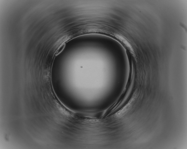 X0000091460801200708231315
