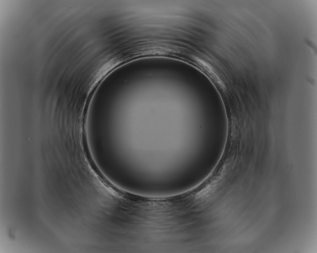 X0000091460802200708231315