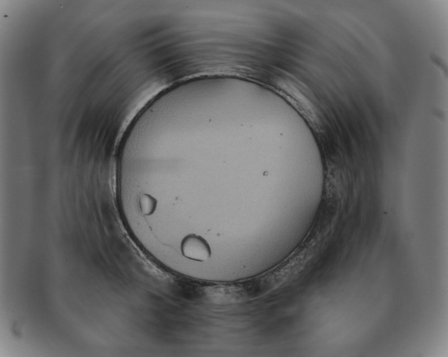X0000091460804200708231315