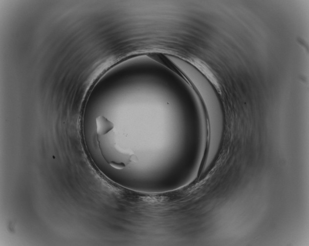 X0000091460805200708231315