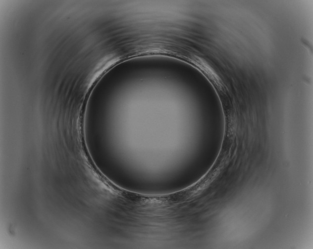 X0000091460806200708231315