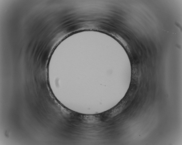 X0000091460807200708231315