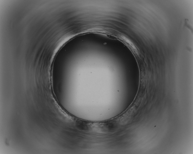 X0000091460808200708231315