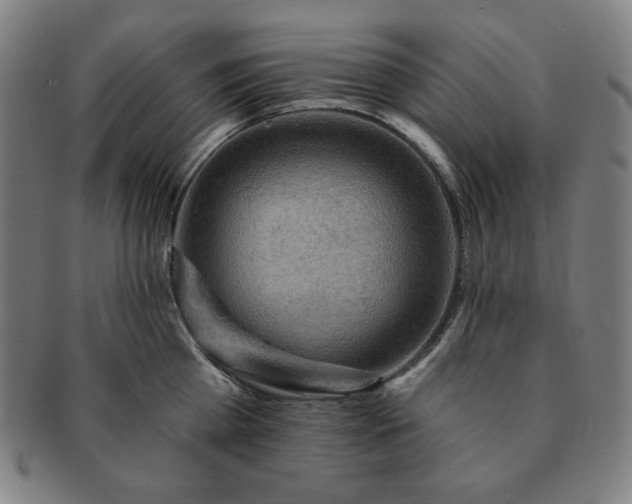 X0000091460809200708231315