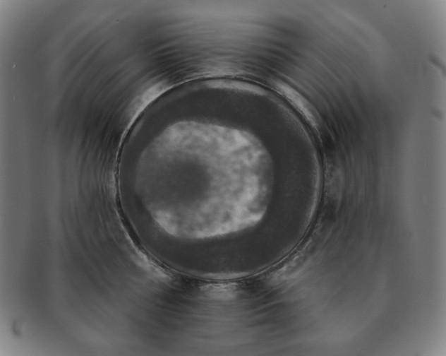 X0000091460810200708231315