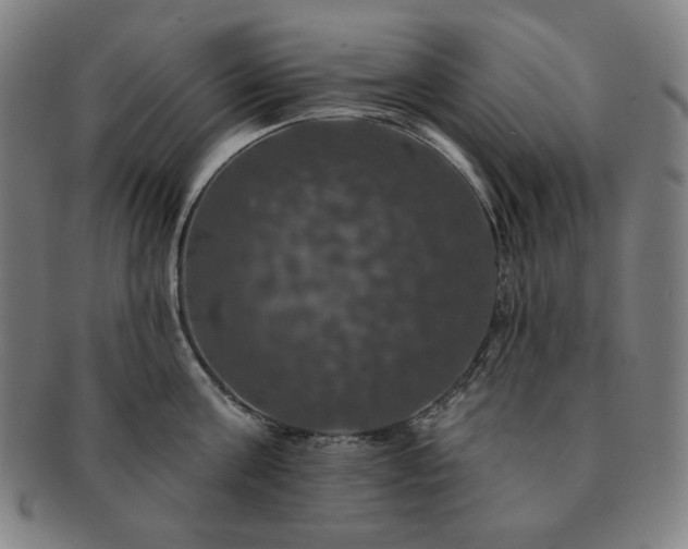 X0000091460811200708231315