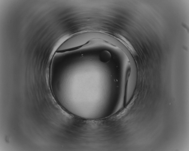 X0000091460812200708231315