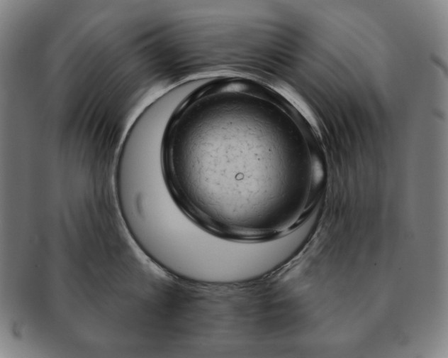 X0000091460813200708231315