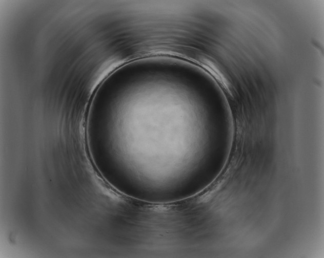 X0000091460814200708231315