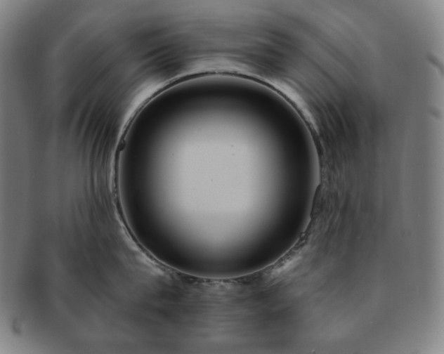 X0000091460815200708231315