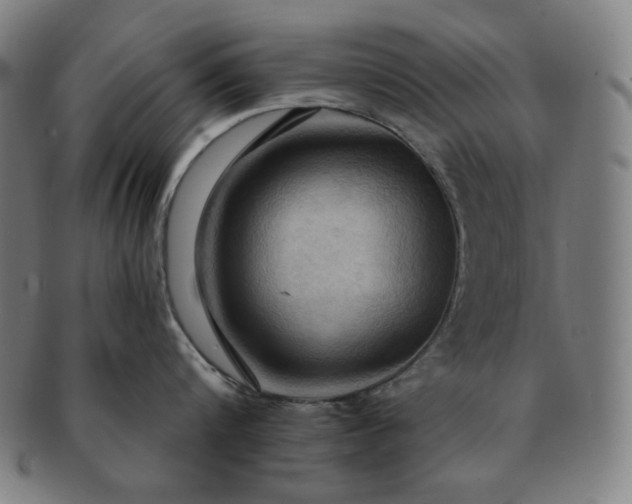 X0000091460816200708231315