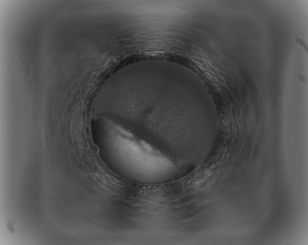 X0000091460817200708231314