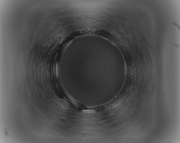 X0000091460818200708231314