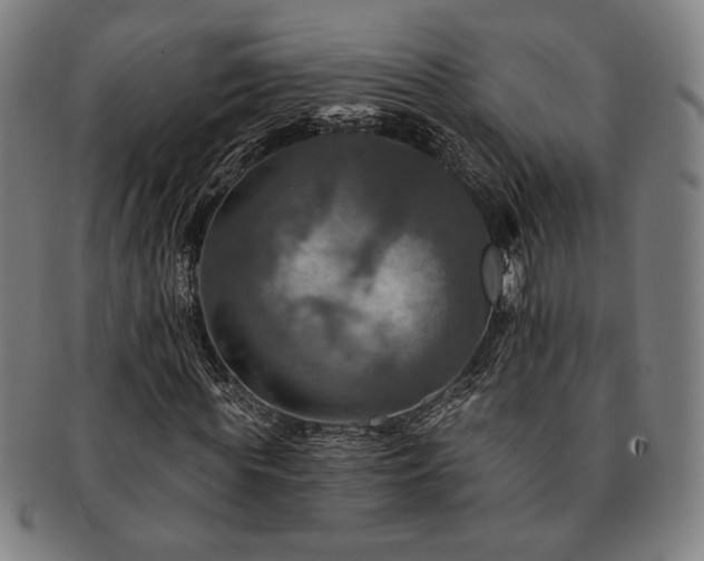 X0000091460819200708231314