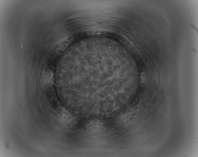 X0000091460820200708231314