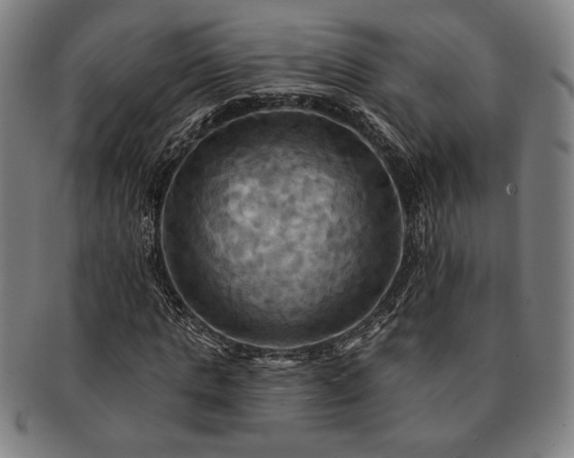 X0000091460821200708231314