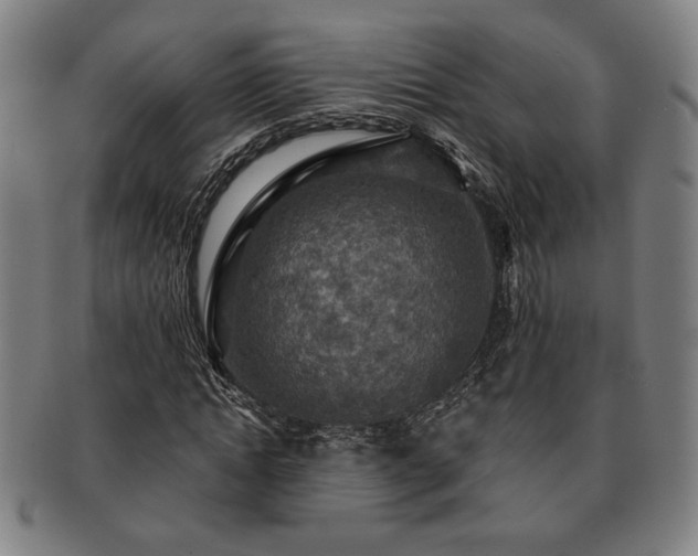 X0000091460822200708231314