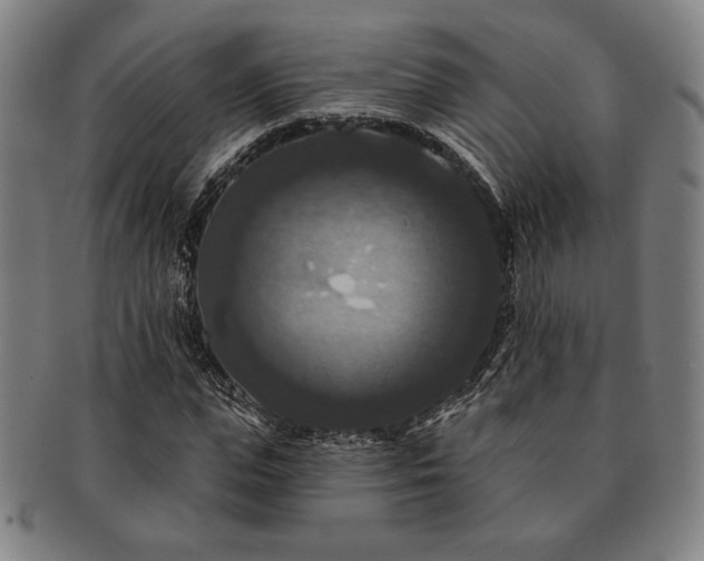 X0000091460823200708231314