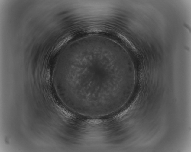 X0000091460825200708231314