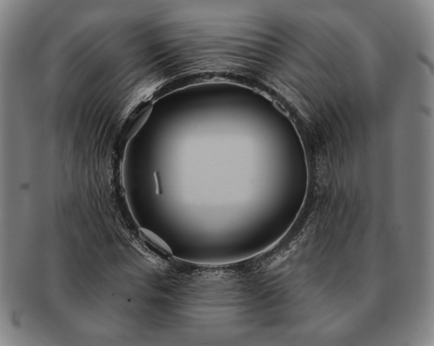 X0000091460826200708231314