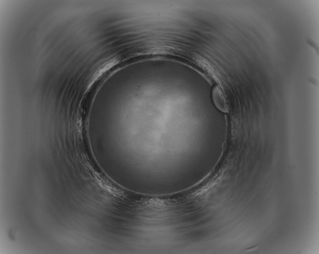 X0000091460827200708231314