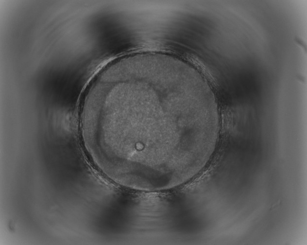 X0000091460828200708231314