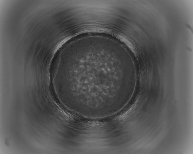 X0000091460829200708231314