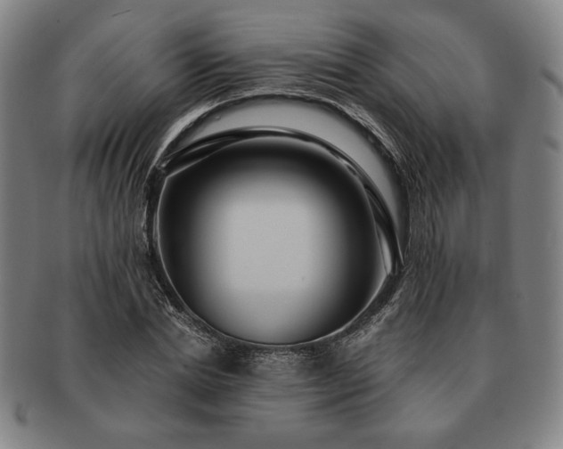X0000091460830200708231314