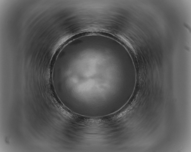 X0000091460831200708231314