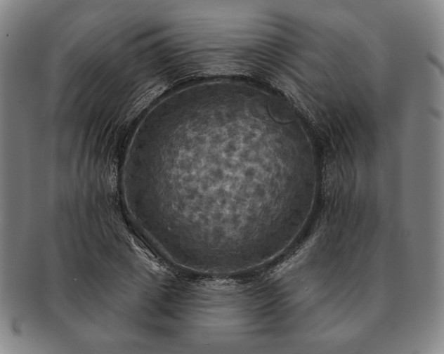 X0000091460833200708231314