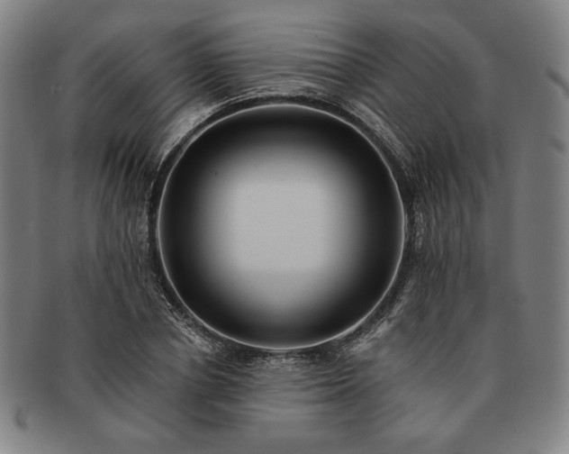 X0000091460834200708231314