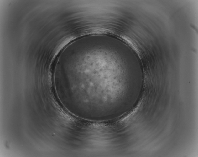 X0000091460835200708231314