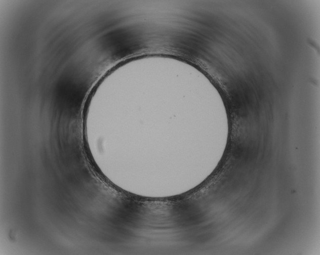 X0000091460836200708231314