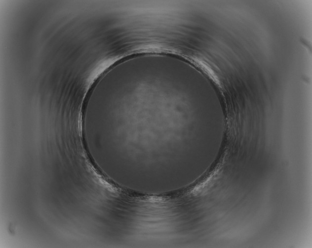 X0000091460839200708231315
