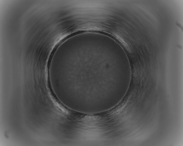 X0000091460840200708231315