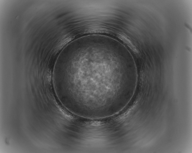 X0000091460841200708231315