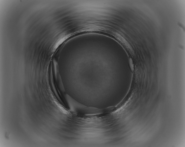 X0000091460842200708231315