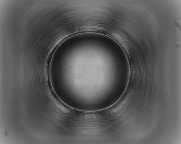 X0000091460843200708231315