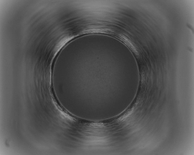 X0000091460844200708231315